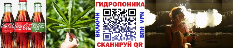 Cannafood марихуана  что такое наркотик  Кубинка 