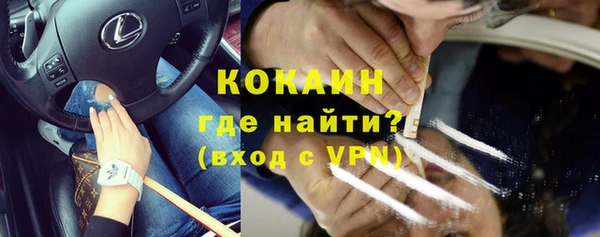 сатива Богородск