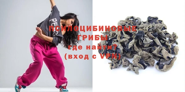 молекула духа Ступино
